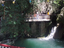 bus image1